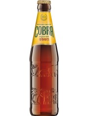 indisches Bier Cobra in der 33 cl Bierflasche Bier kaufen